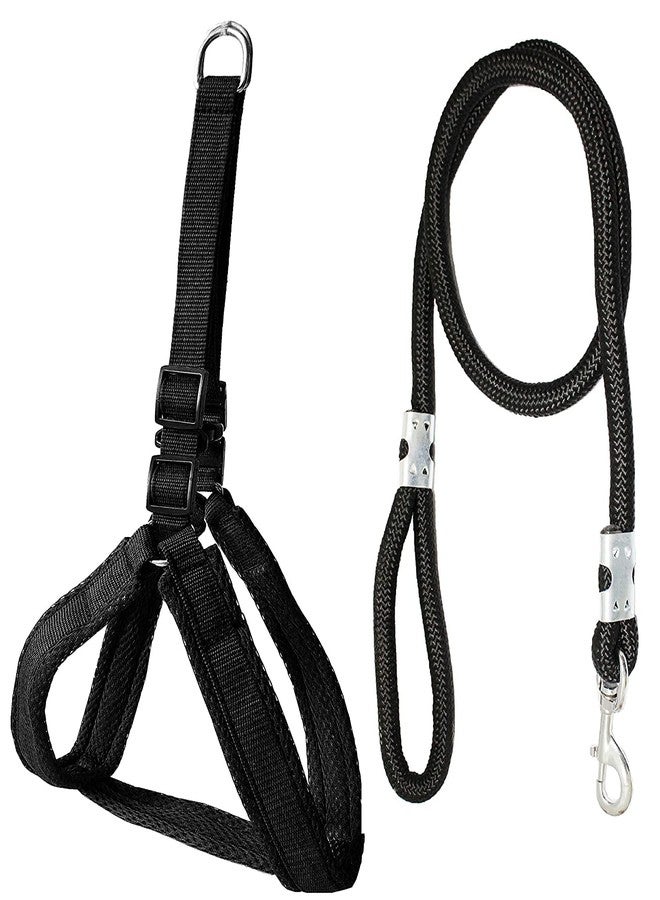 Pups&Pets Mesh Padded Nylon Dog Harness & Leash Rope All Types of Dogs - Medium (Chest Size - 25-34inch) (Black) - Image 1